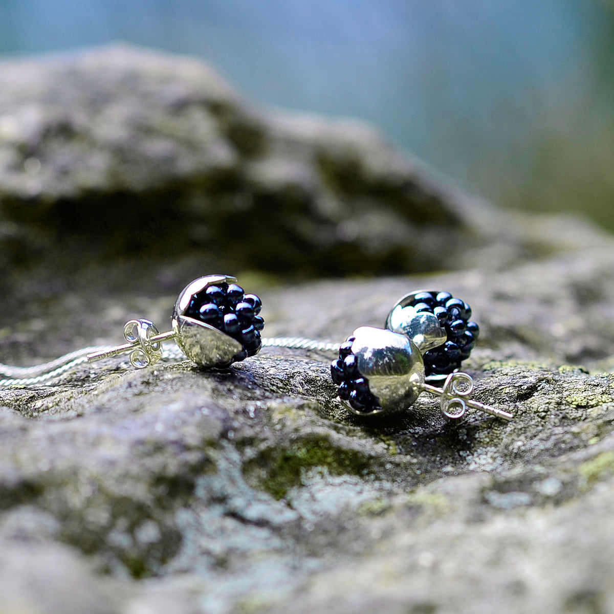 Set Silver Leaf Blackberries